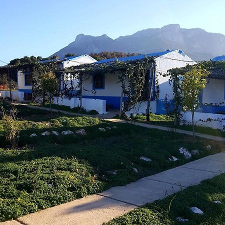 Ferma Jebala Ecolodge Kitane Kültér fotó
