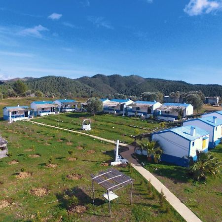 Ferma Jebala Ecolodge Kitane Kültér fotó