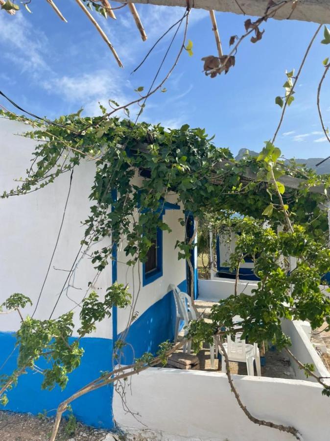 Ferma Jebala Ecolodge Kitane Kültér fotó