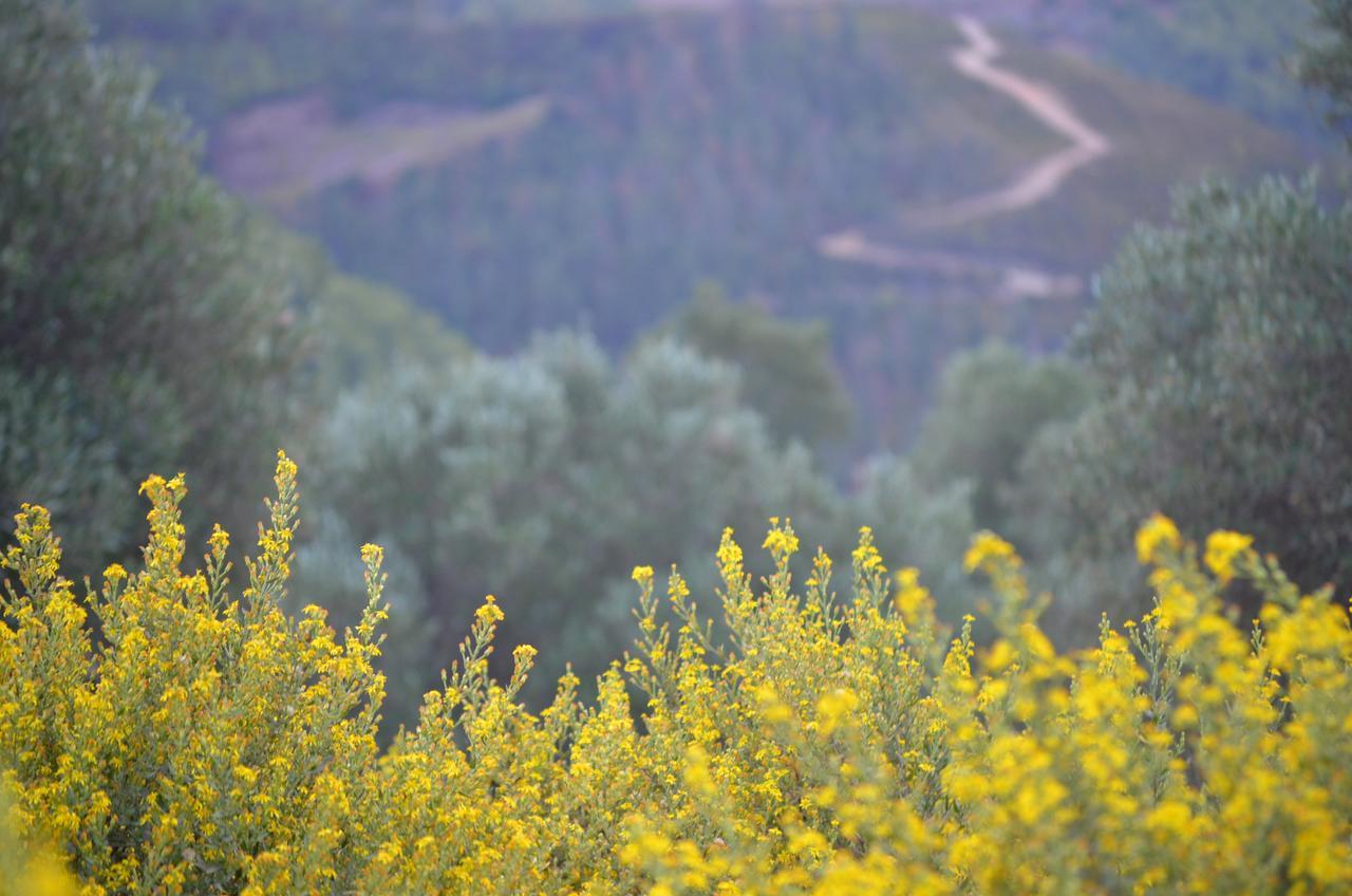 Ferma Jebala Ecolodge Kitane Kültér fotó