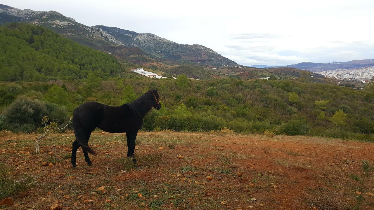 Ferma Jebala Ecolodge Kitane Kültér fotó
