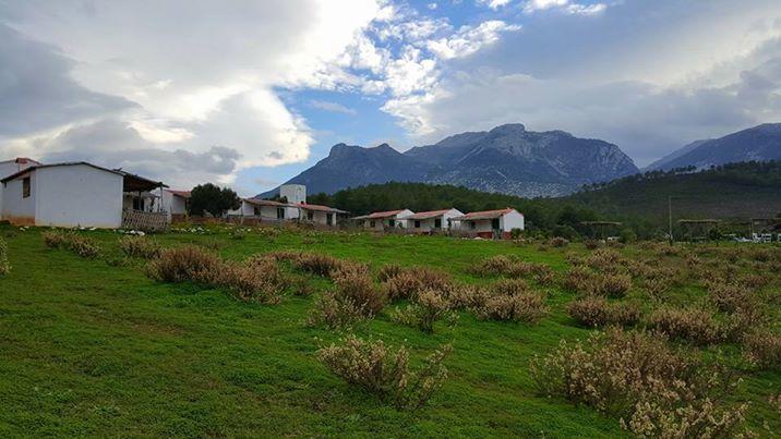 Ferma Jebala Ecolodge Kitane Kültér fotó