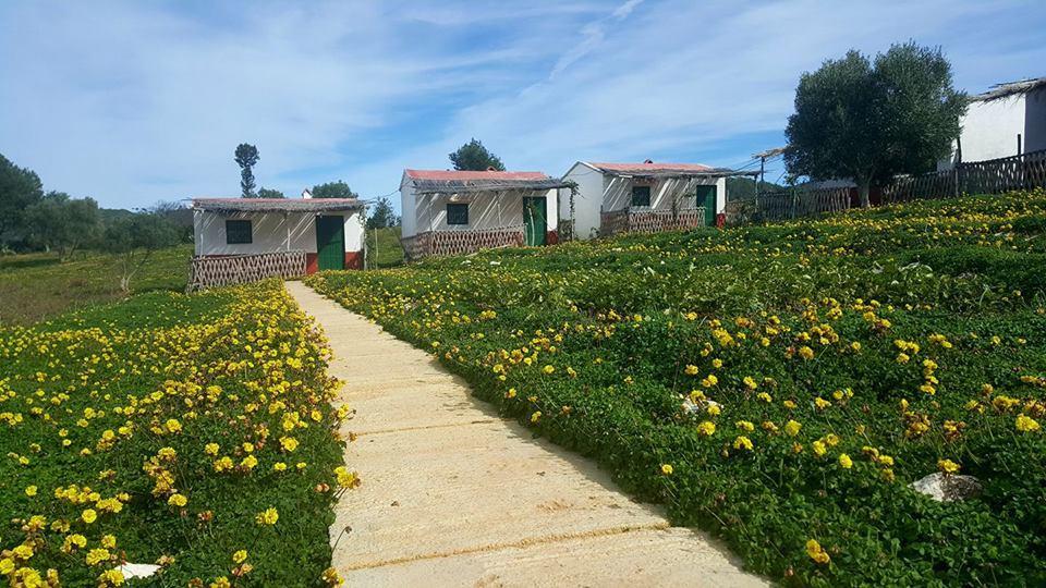 Ferma Jebala Ecolodge Kitane Kültér fotó