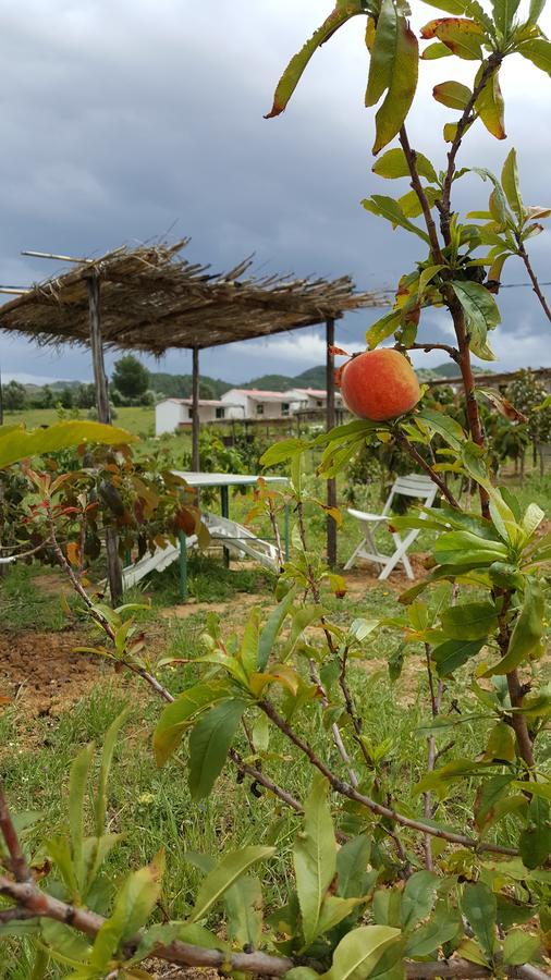 Ferma Jebala Ecolodge Kitane Kültér fotó