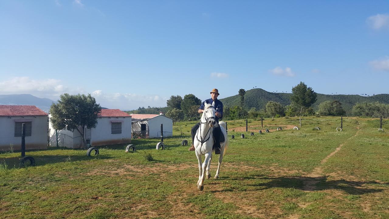 Ferma Jebala Ecolodge Kitane Kültér fotó