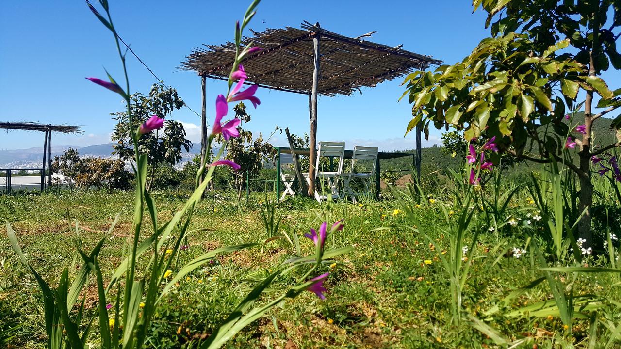 Ferma Jebala Ecolodge Kitane Kültér fotó