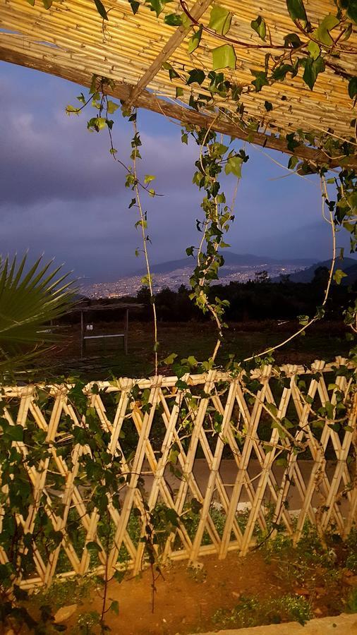Ferma Jebala Ecolodge Kitane Kültér fotó