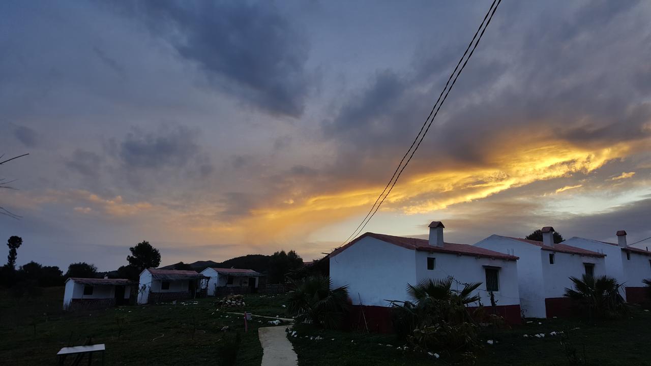 Ferma Jebala Ecolodge Kitane Szoba fotó
