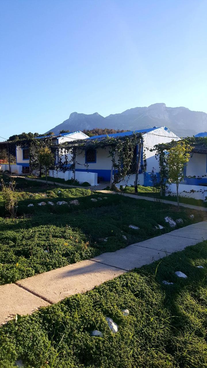 Ferma Jebala Ecolodge Kitane Kültér fotó