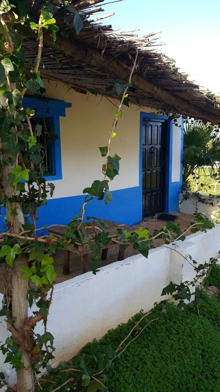 Ferma Jebala Ecolodge Kitane Kültér fotó