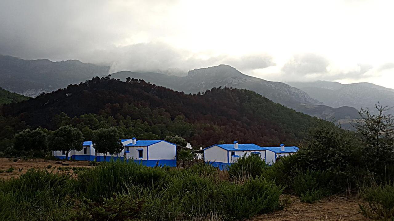 Ferma Jebala Ecolodge Kitane Kültér fotó